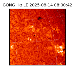 gong - 2025-08-14T08:00:42