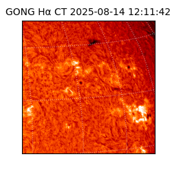 gong - 2025-08-14T12:11:42