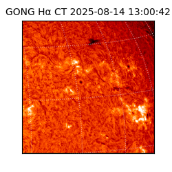 gong - 2025-08-14T13:00:42