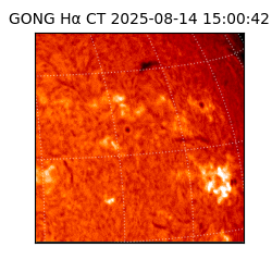 gong - 2025-08-14T15:00:42