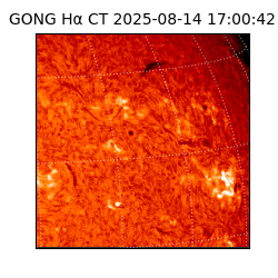 gong - 2025-08-14T17:00:42