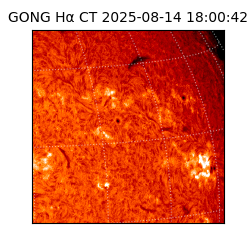gong - 2025-08-14T18:00:42