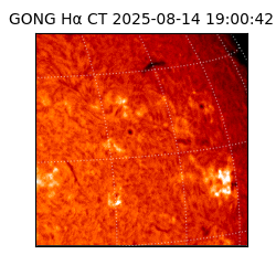 gong - 2025-08-14T19:00:42