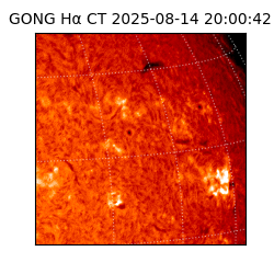 gong - 2025-08-14T20:00:42