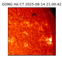 gong - 2025-08-14T21:00:42