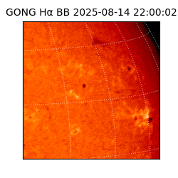 gong - 2025-08-14T22:00:02