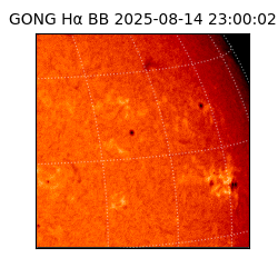 gong - 2025-08-14T23:00:02