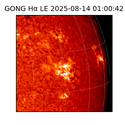 gong - 2025-08-14T01:00:42