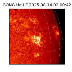 gong - 2025-08-14T02:00:42