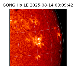 gong - 2025-08-14T03:09:42
