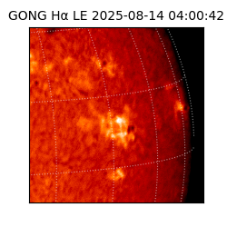 gong - 2025-08-14T04:00:42