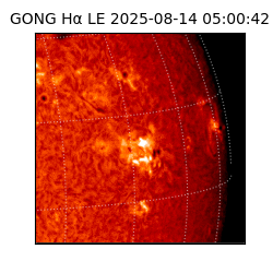 gong - 2025-08-14T05:00:42