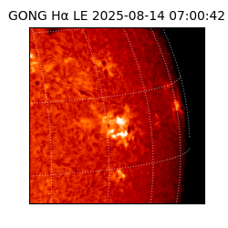 gong - 2025-08-14T07:00:42
