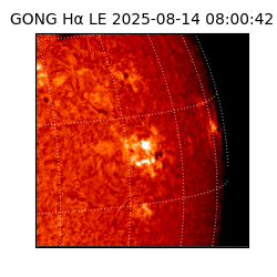 gong - 2025-08-14T08:00:42