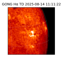 gong - 2025-08-14T11:11:22