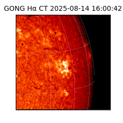 gong - 2025-08-14T16:00:42