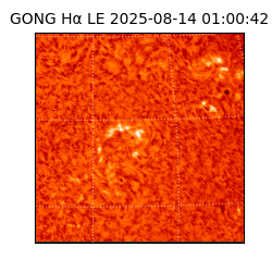 gong - 2025-08-14T01:00:42