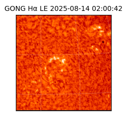 gong - 2025-08-14T02:00:42