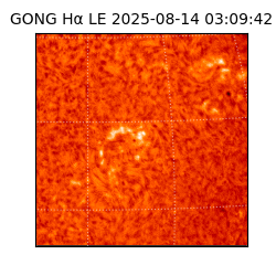 gong - 2025-08-14T03:09:42