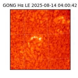 gong - 2025-08-14T04:00:42