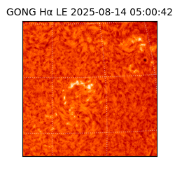 gong - 2025-08-14T05:00:42