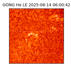 gong - 2025-08-14T06:00:42