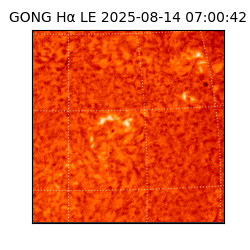 gong - 2025-08-14T07:00:42