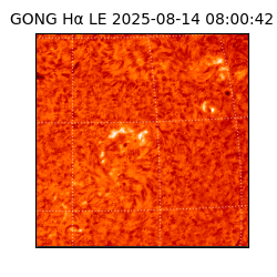 gong - 2025-08-14T08:00:42