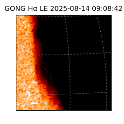 gong - 2025-08-14T09:08:42