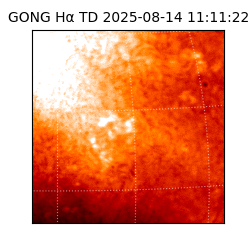 gong - 2025-08-14T11:11:22