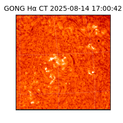 gong - 2025-08-14T17:00:42