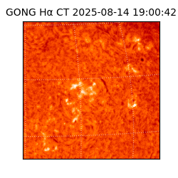 gong - 2025-08-14T19:00:42