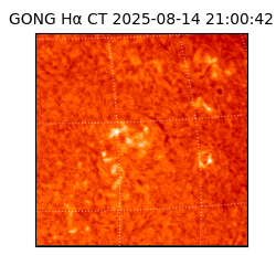 gong - 2025-08-14T21:00:42