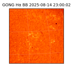 gong - 2025-08-14T23:00:02