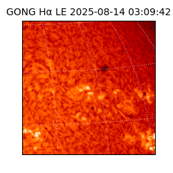 gong - 2025-08-14T03:09:42