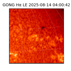 gong - 2025-08-14T04:00:42