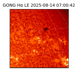 gong - 2025-08-14T07:00:42