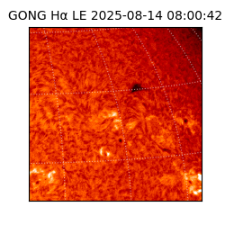 gong - 2025-08-14T08:00:42