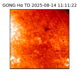 gong - 2025-08-14T11:11:22