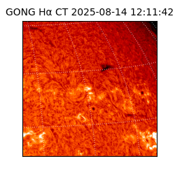 gong - 2025-08-14T12:11:42