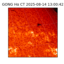 gong - 2025-08-14T13:00:42