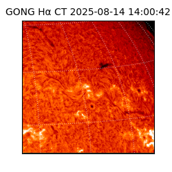 gong - 2025-08-14T14:00:42