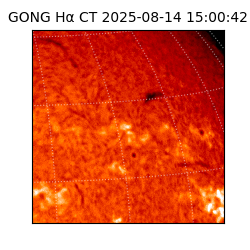 gong - 2025-08-14T15:00:42