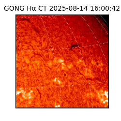 gong - 2025-08-14T16:00:42