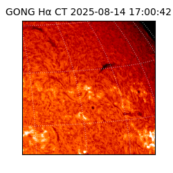 gong - 2025-08-14T17:00:42
