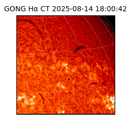gong - 2025-08-14T18:00:42