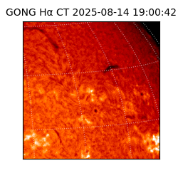 gong - 2025-08-14T19:00:42