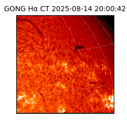 gong - 2025-08-14T20:00:42