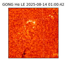 gong - 2025-08-14T01:00:42
