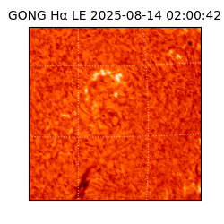 gong - 2025-08-14T02:00:42